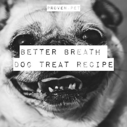 Better Breath Frozen Dog Treat Recipe