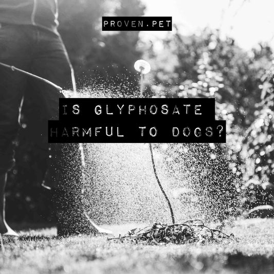Is Glyphosate Harmful to Dogs? Here's What You Need to Know and Do.