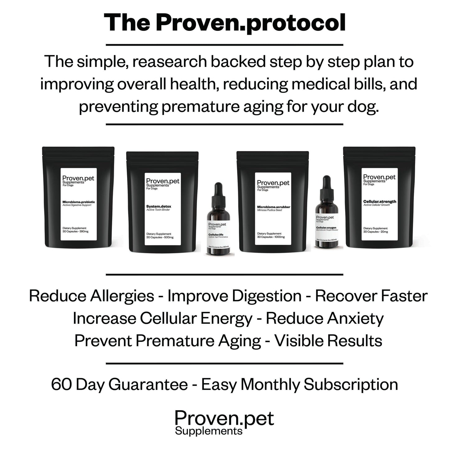 Proven.protocol - 8 Month Plan